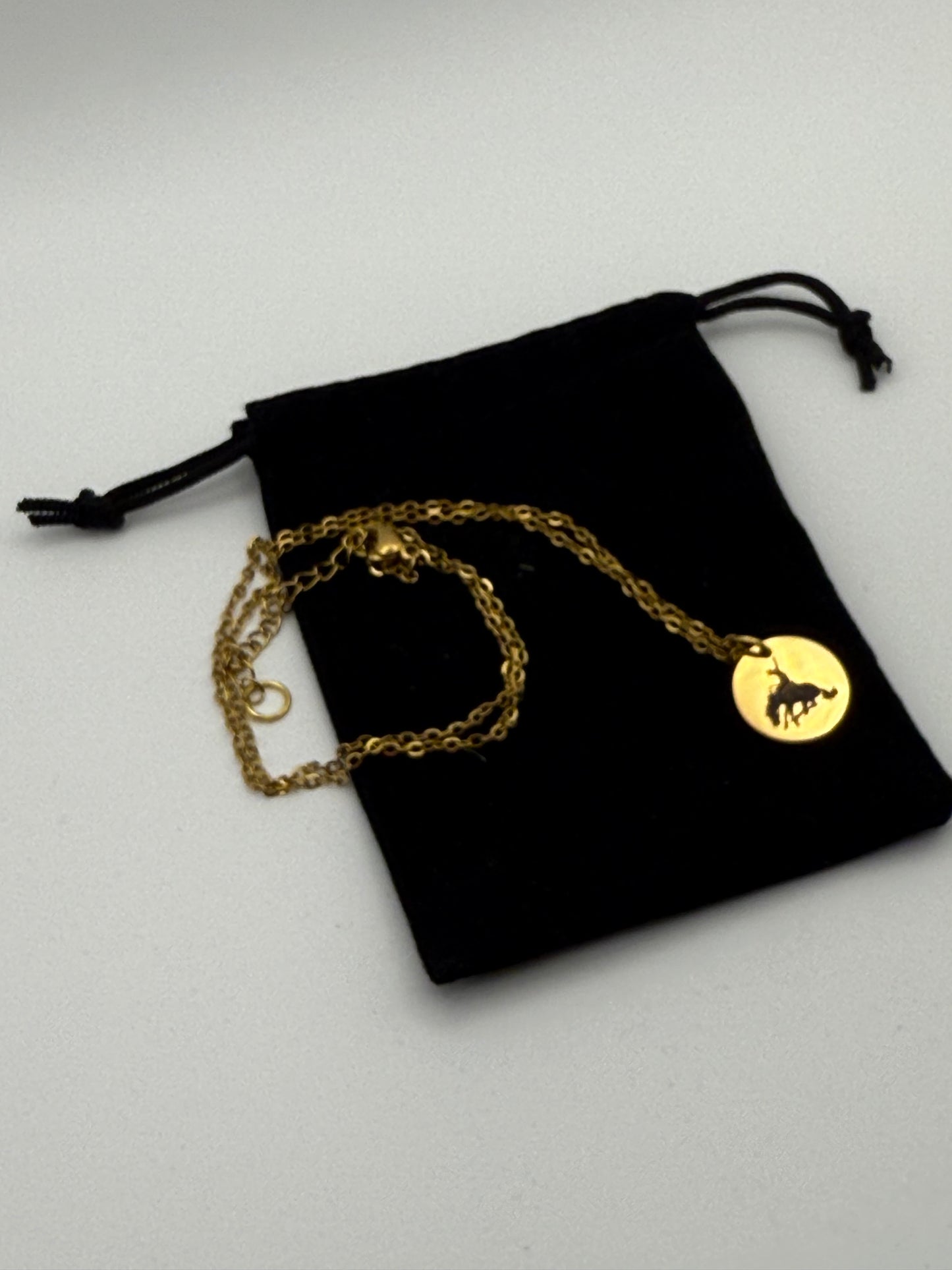 Goodland Small Pendant Necklace